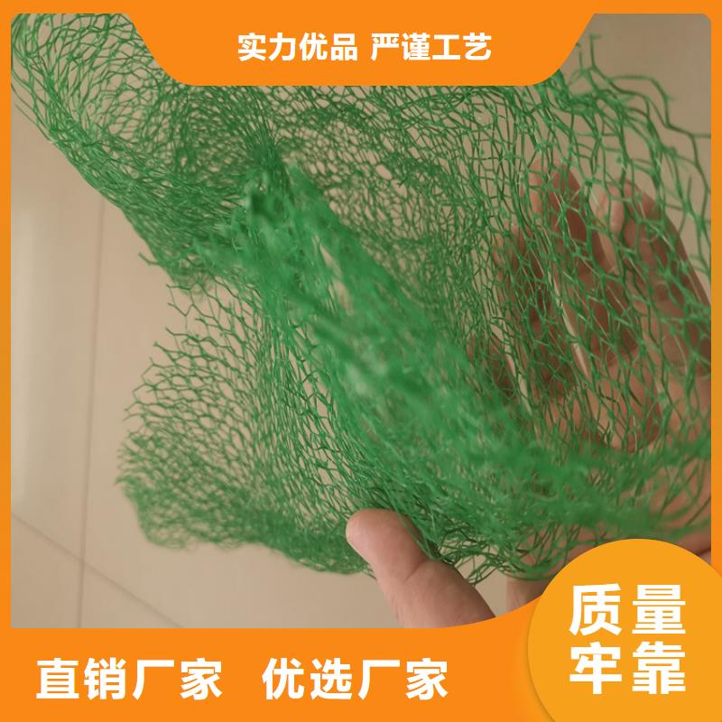 三维植被网排水板今日价格