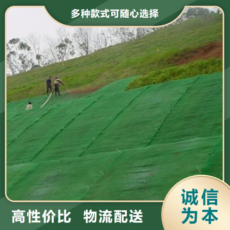 通化市环保塑料三维固土网垫