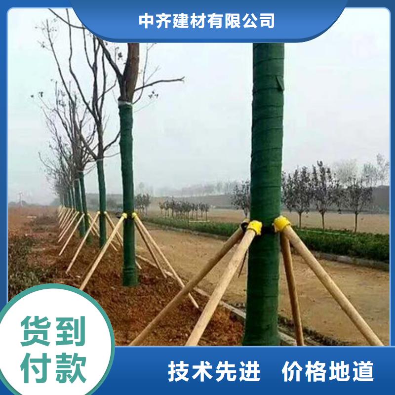 【中齐】衡阳市树木包树布保湿带