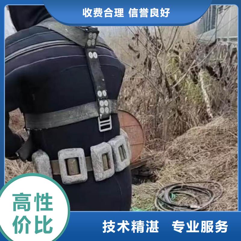 水下施工【气囊封堵】实力强有保证