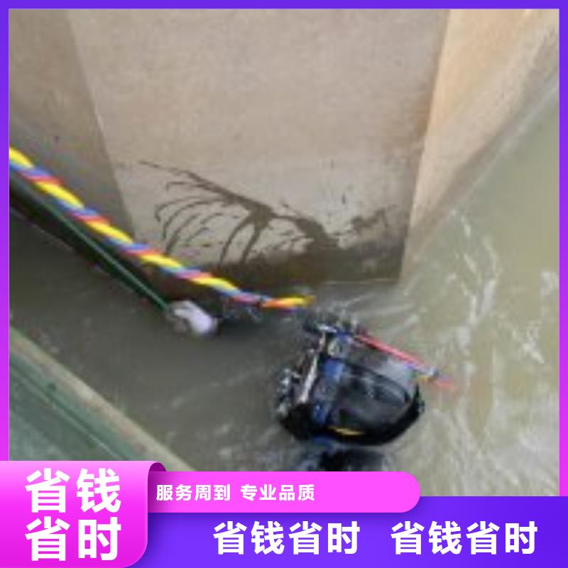 潜水员水下摄影市场报价