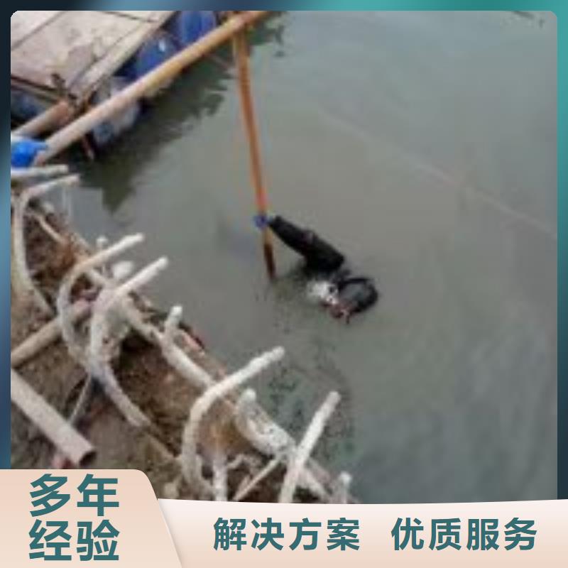 潜水员水下摄影市场报价