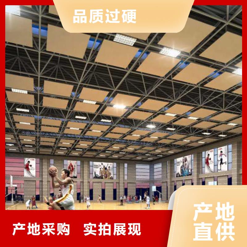 专业设计[凯音]乒乓球馆体育馆吸音改造方案--2024最近方案/价格