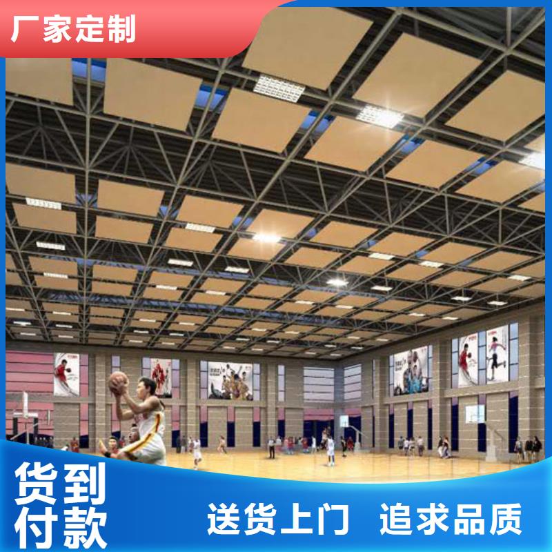 广东省深圳市沙头街道体育馆声学设计改造公司方案--2024最近方案/价格