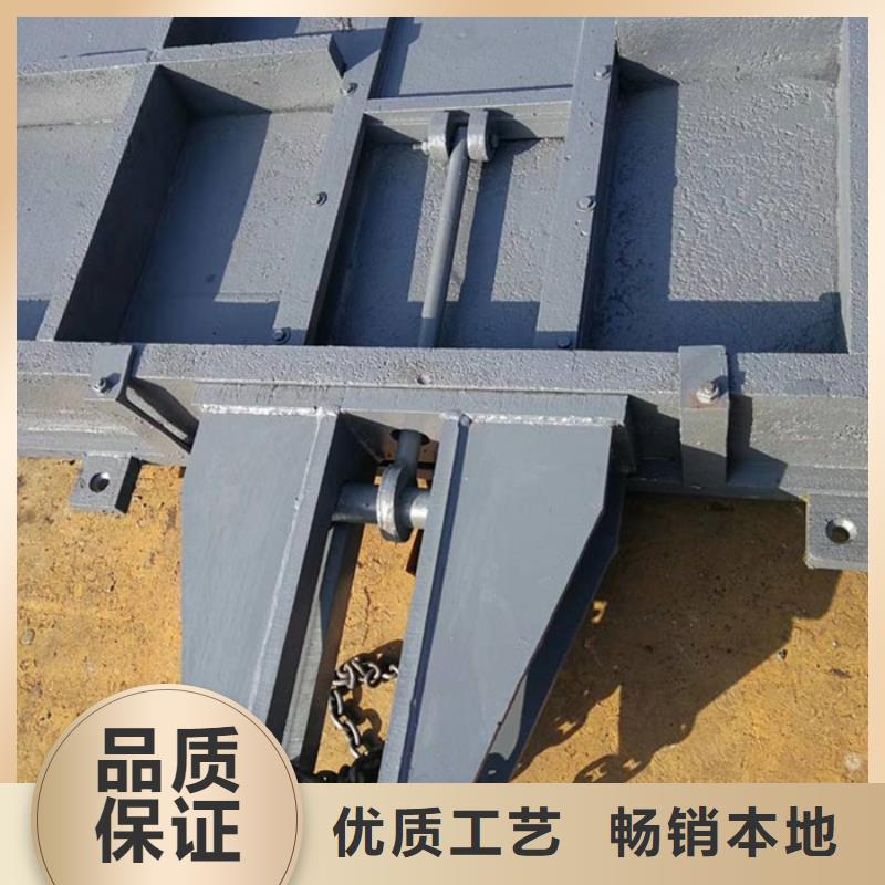 宁波买优质平面定轮钢制闸门供应商