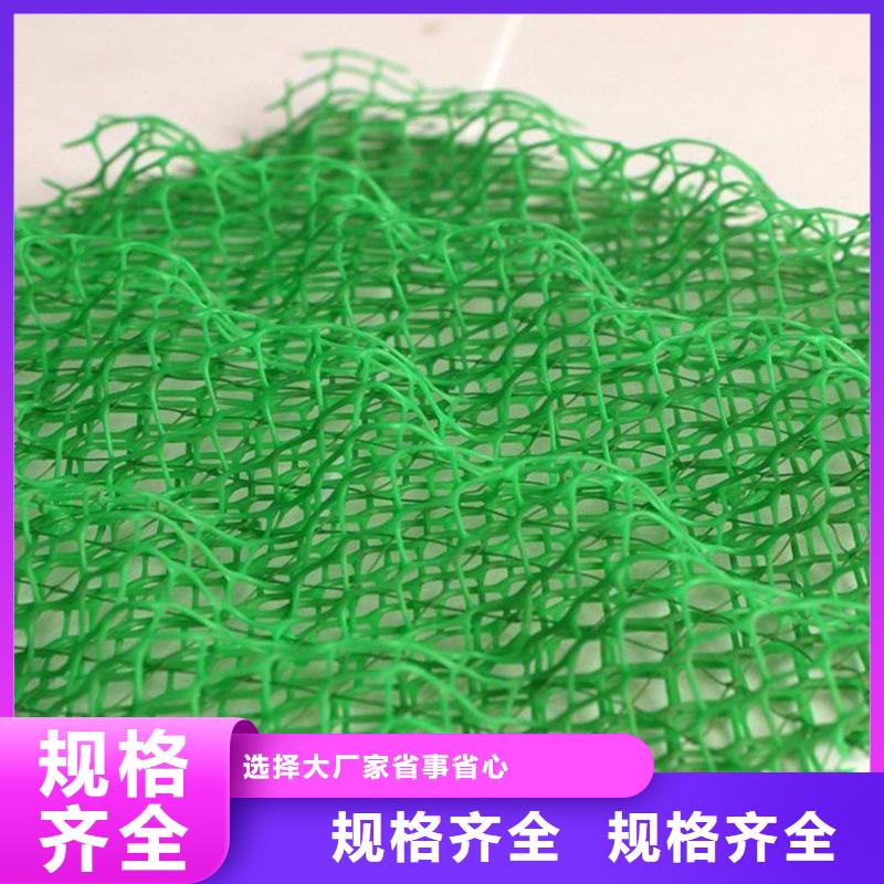 附近[金鸿耀]塑料三维土工网垫-联系方式