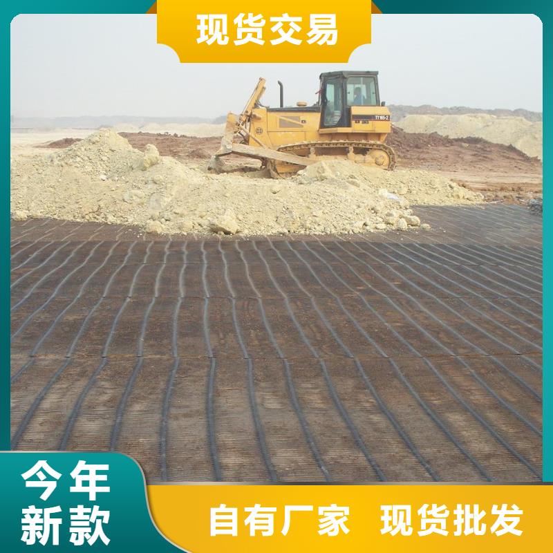价格合理的钢塑格栅基地