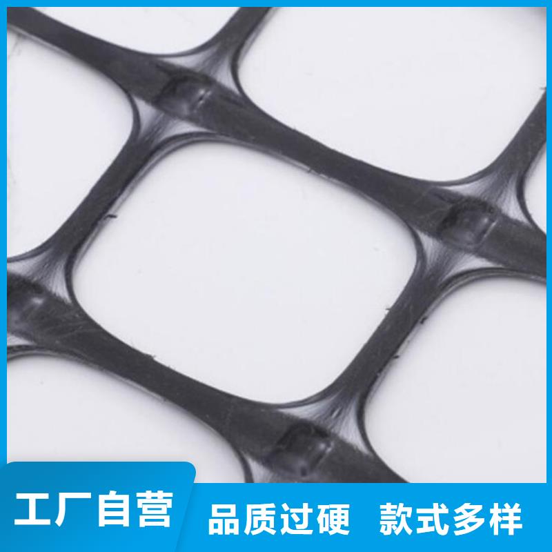 本地(鼎诺)乐东县玻璃纤维土工格栅-土木格栅-玻璃纤维格栅