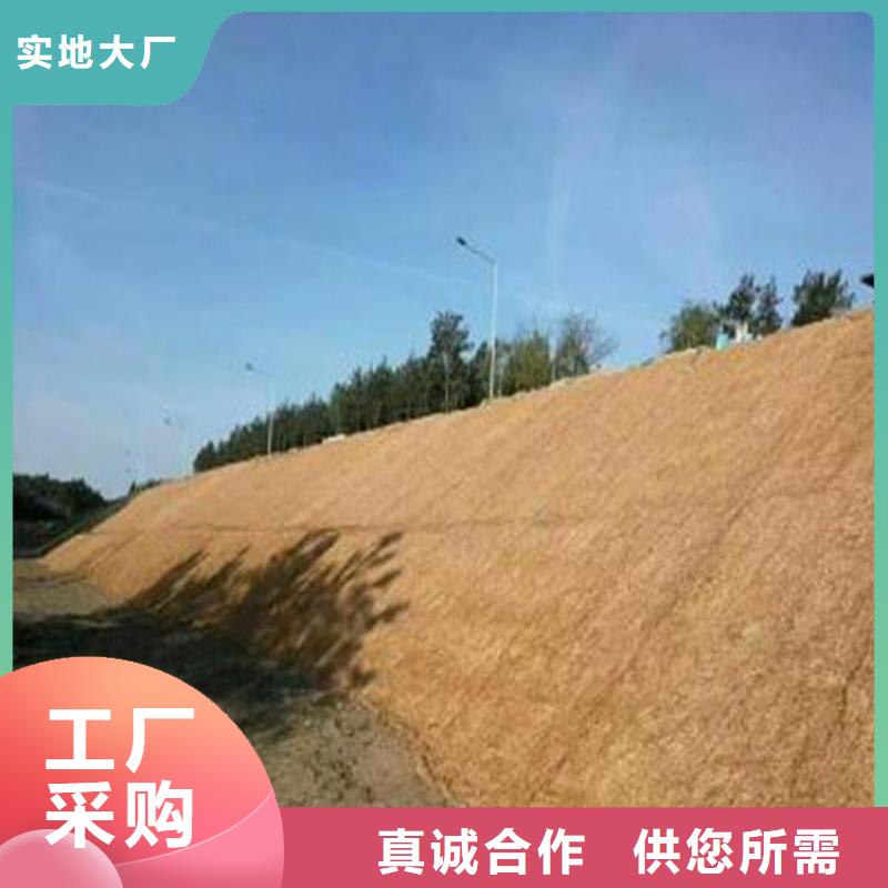 植生椰丝毯代理市场