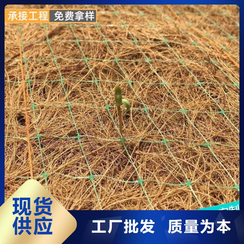 加筋抗冲生物毯厂家-办事处