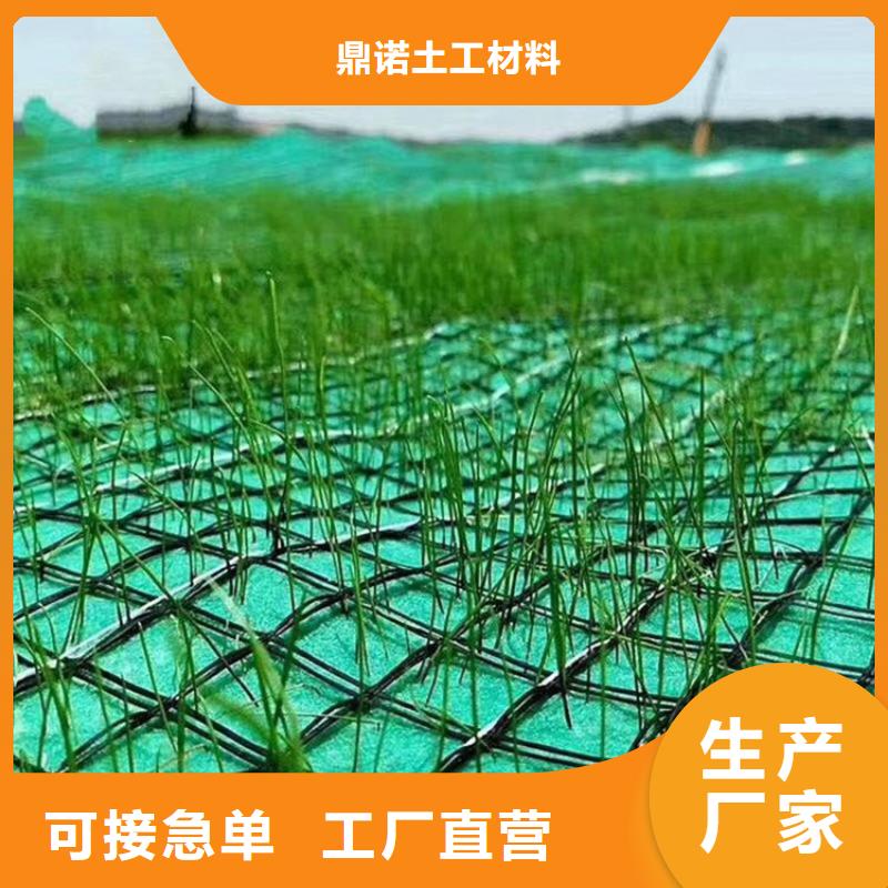 性能稳定(鼎诺)加筋植物纤维毯-生态草毯-草籽椰丝毯