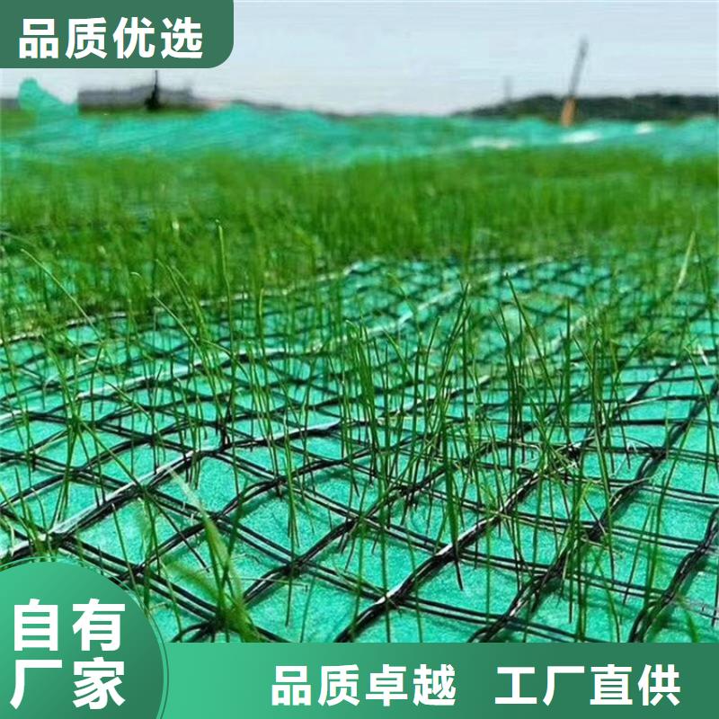 甄选：保亭县植物纤维毯-生态草毯-椰丝环保草毯