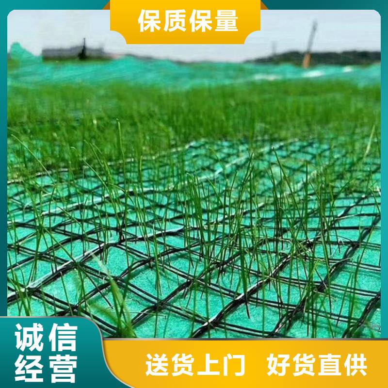 椰丝植生毯-种草毯-纤维植被垫