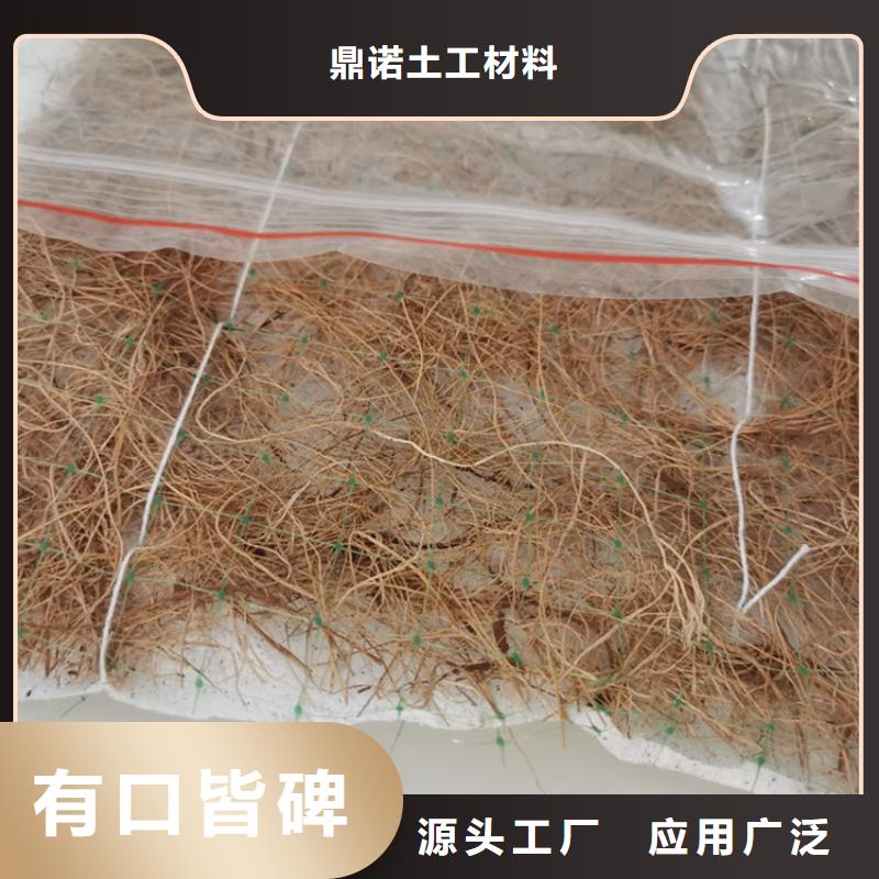 鼎诺护坡植被植草毯-加筋抗冲生态毯本地代理生产型