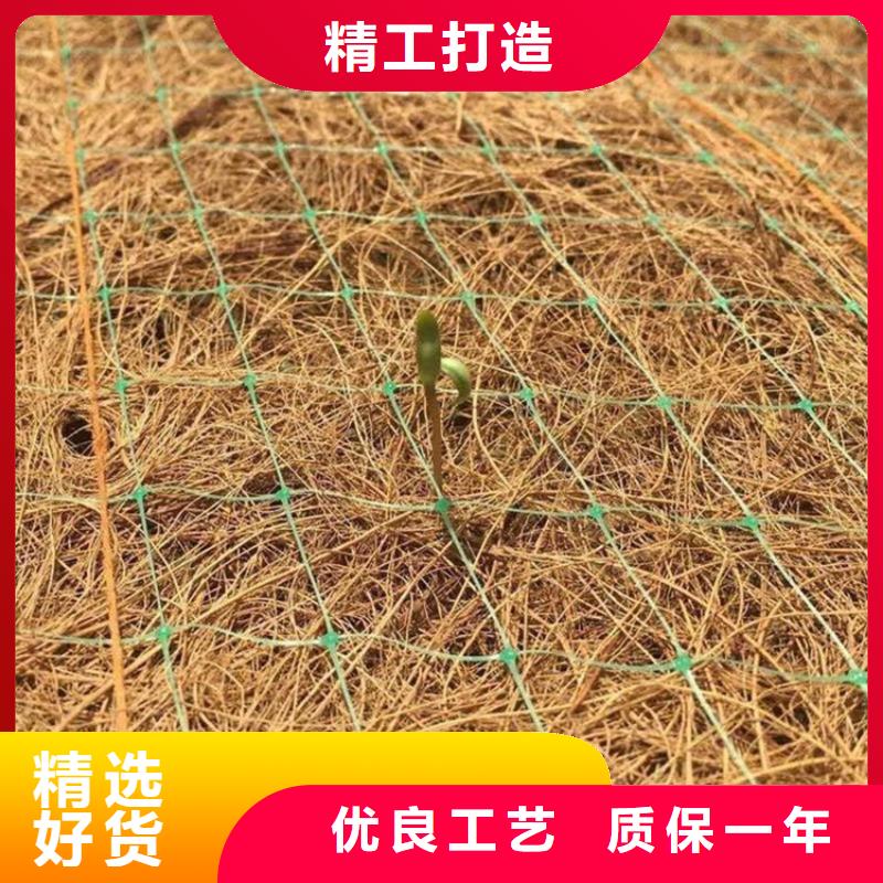 加筋植物纤维毯-椰丝生态毯-稻草植物纤维毯