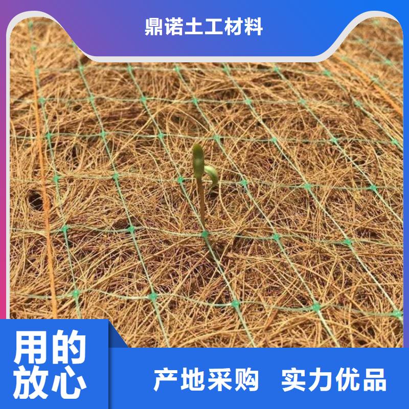 保亭县生态环保草毯-椰丝生态植物毯