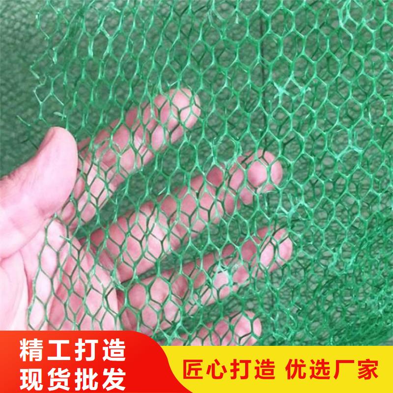 三维植被网植草格畅销本地