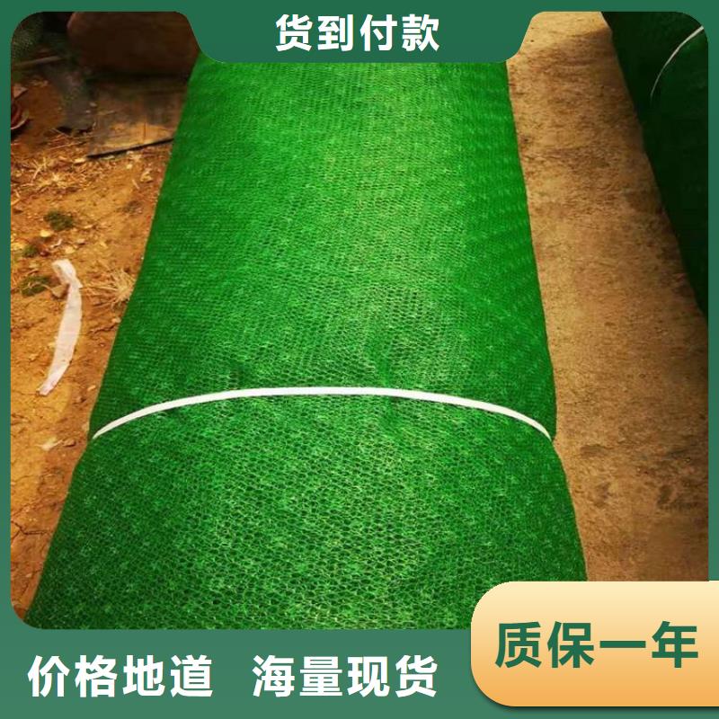 三维植被网土工格栅追求细节品质