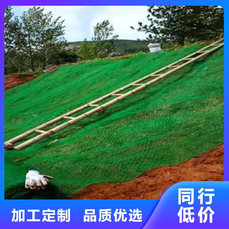 EM3三维土工网垫参数性能