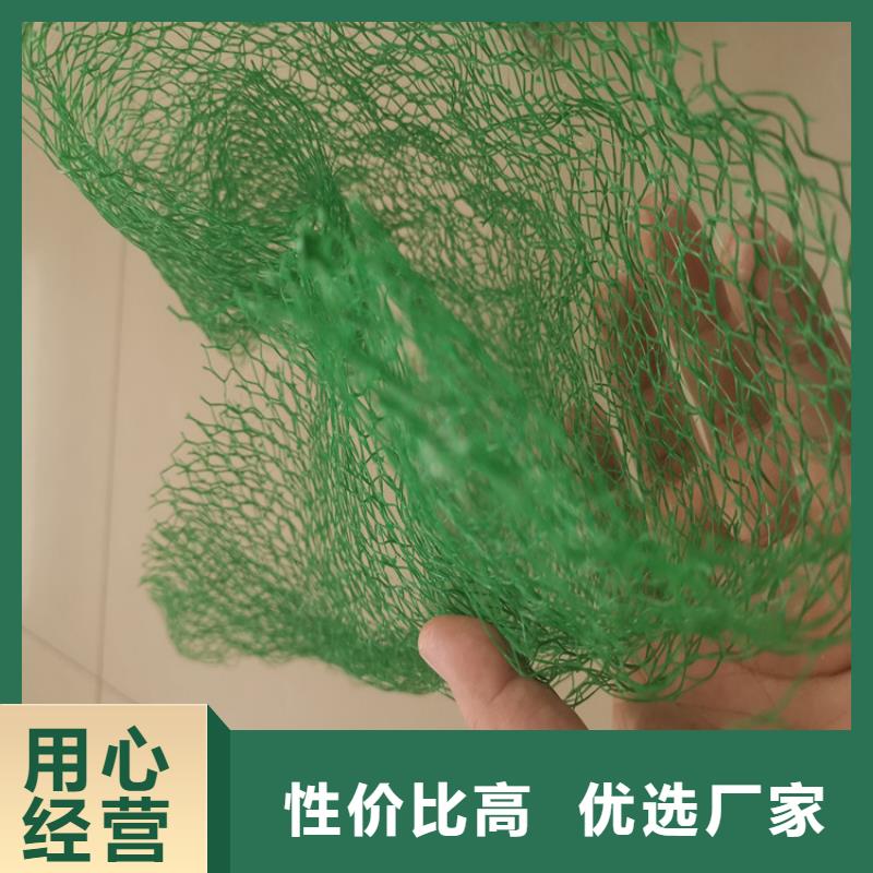 EM3边坡三维植被网