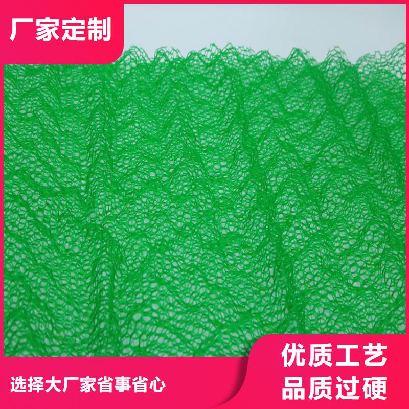 [鼎诺]:EM5三维加筋网垫-绿色三维土工网垫品质值得信赖-