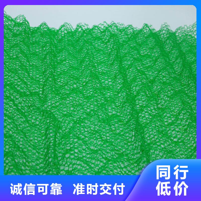 EM5三维护坡植草网垫-2层3层三维植被网-鼎诺土工材料-产品视频