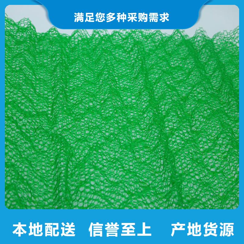 质检严格放心品质【鼎诺】EM2环保三维固土网垫