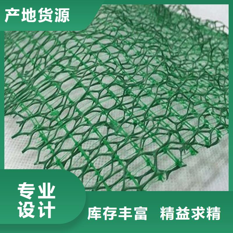 乐东县三维植被网-EM3三维加筋网垫
