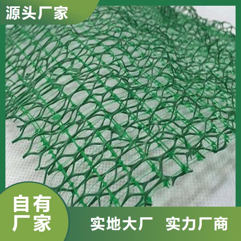 三维植被网-三维固土网垫