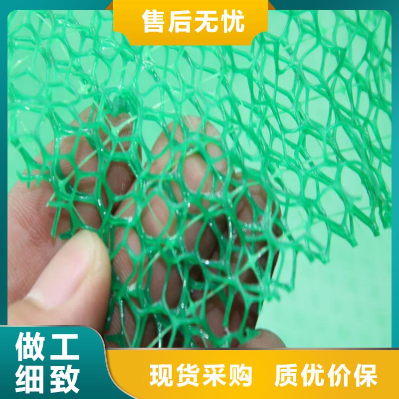 的简单介绍《鼎诺》三维植被网-EM5三维护坡植草网垫