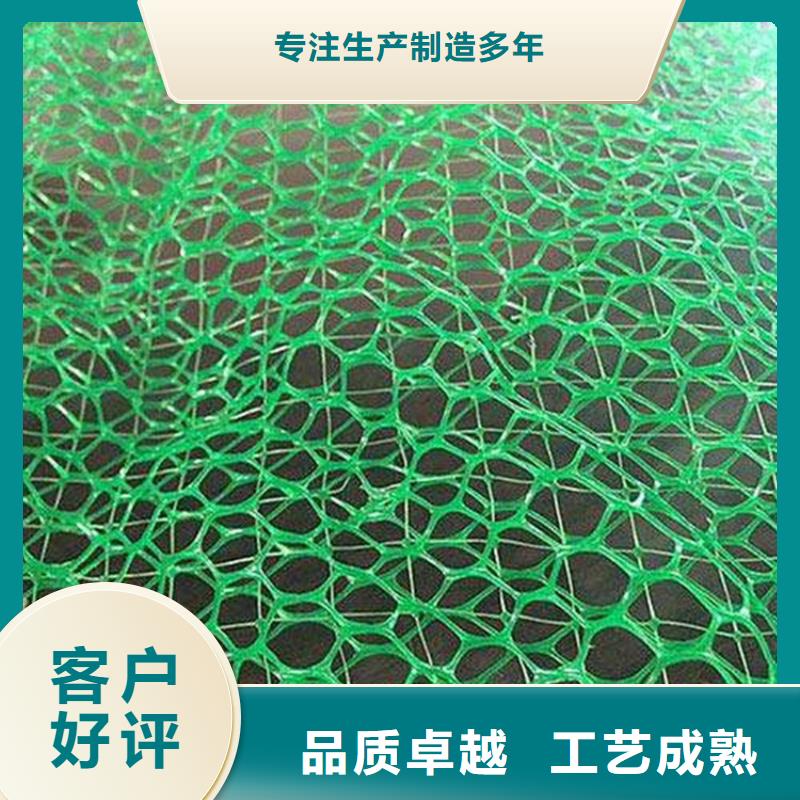 [鼎诺]:EM5三维加筋网垫-绿色三维土工网垫品质值得信赖-