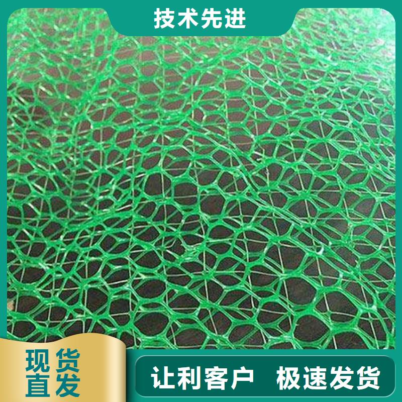 三维植被网-三维护坡植草网垫