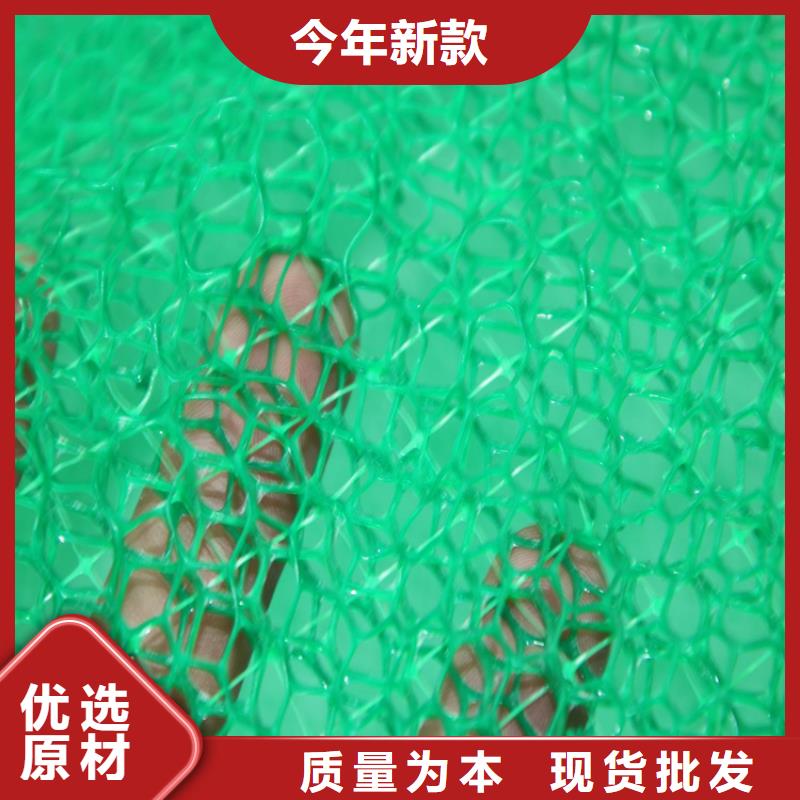 乐东县三维植被网-EM3三维加筋网垫