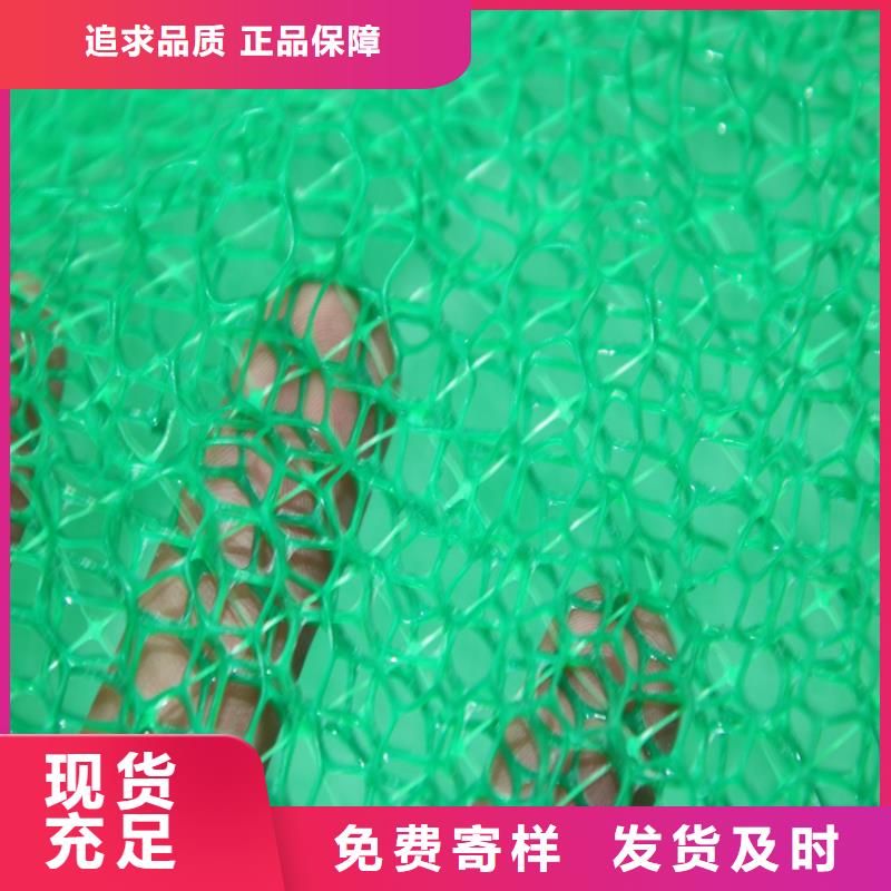 三维植被网EM3塑料