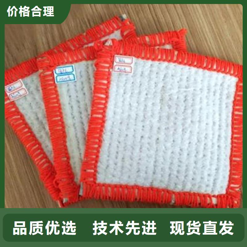 选购(鼎诺)膨润土防水毯塑料盲沟精工打造