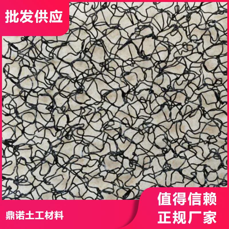 采购<鼎诺>水土保护毯塑料盲沟优质工艺
