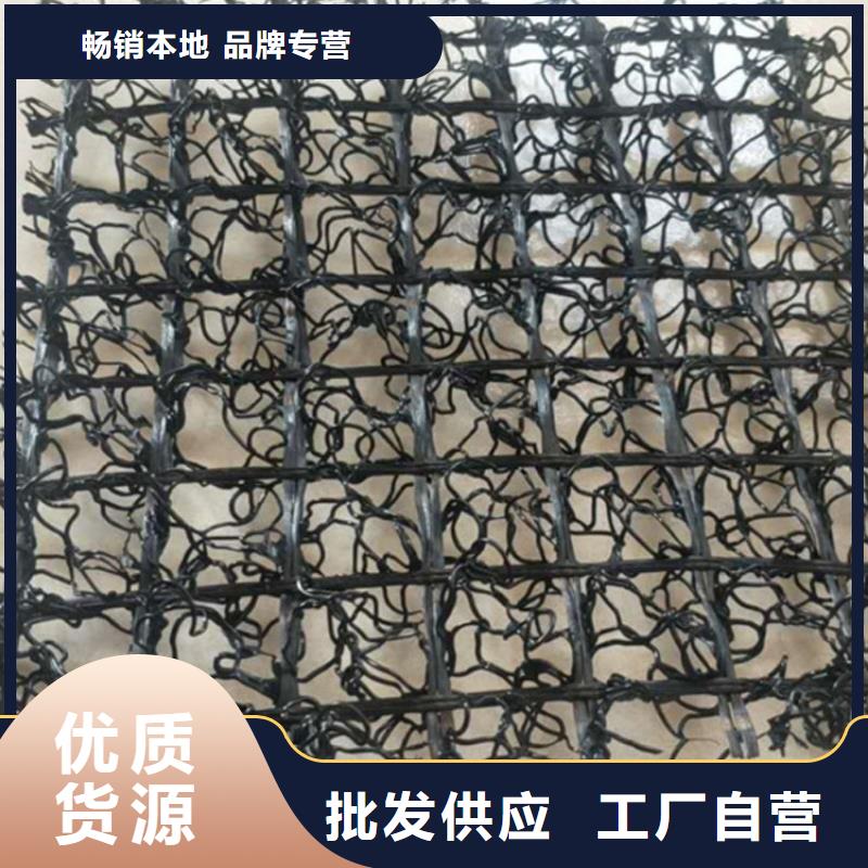 附近[鼎诺]水土保护毯HDPE土工膜好产品好服务