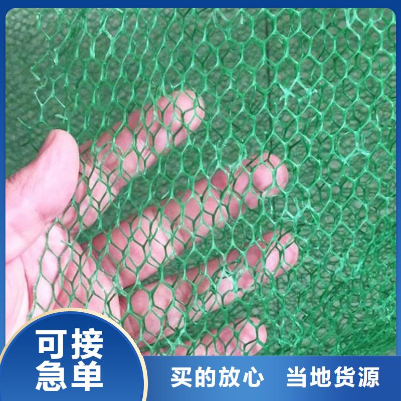塑料固土三维土工网垫