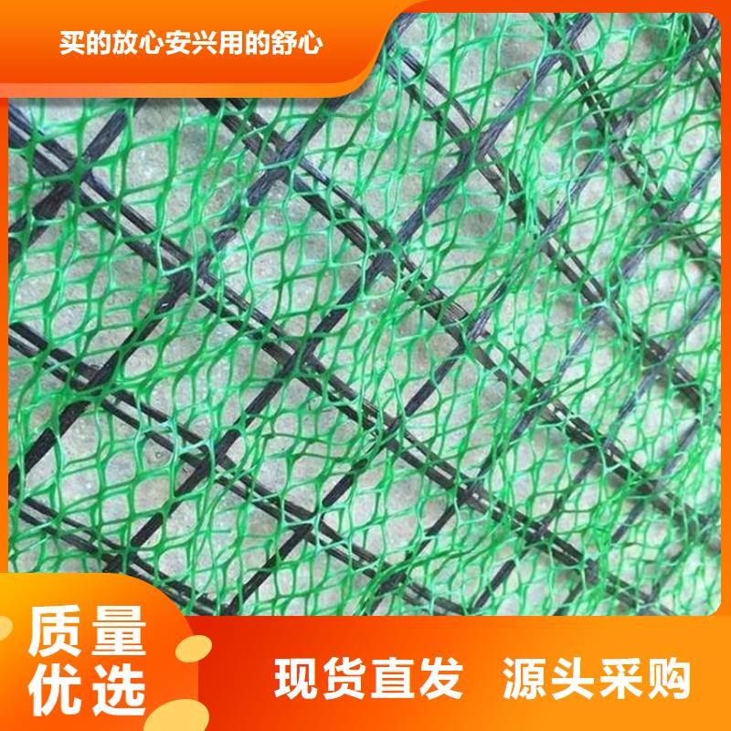 三维固土网垫-三维土工网垫拉力