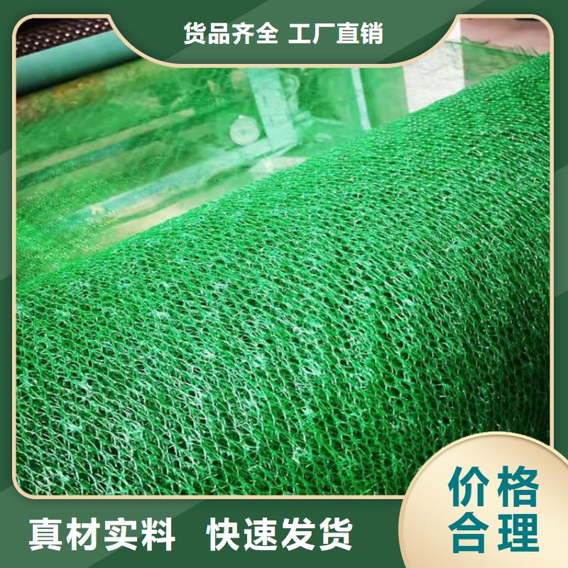 三维土工网垫-边坡三维土工网垫