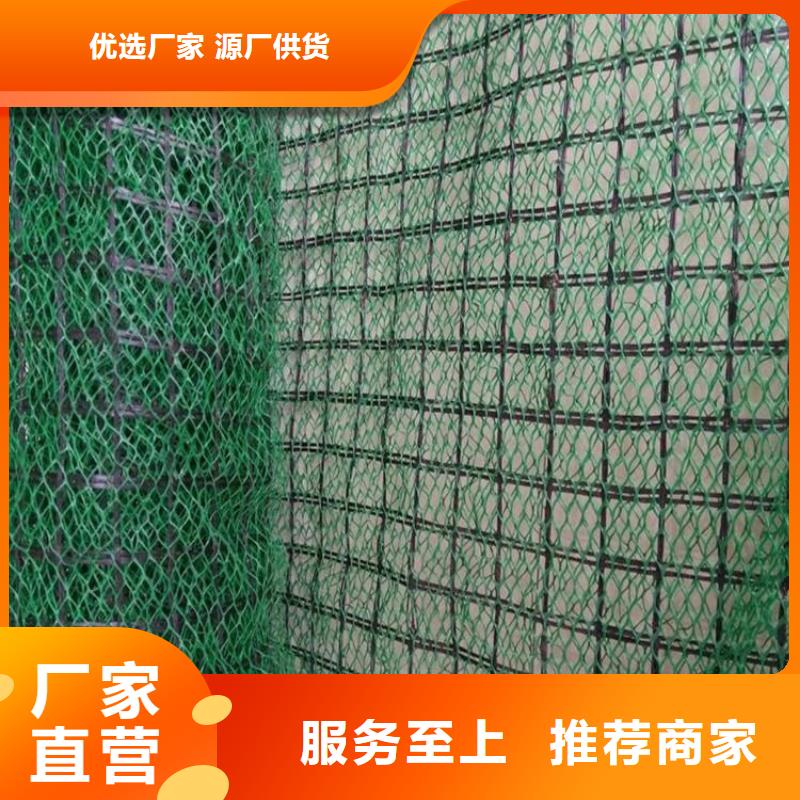 三维植被网,土工布支持拿样