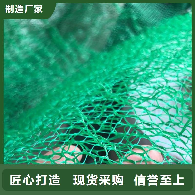 三维护坡植草网垫定制价格