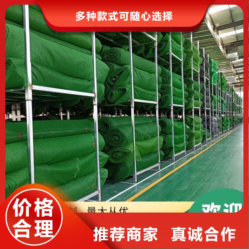 三维植被网涤纶格栅实体厂家支持定制