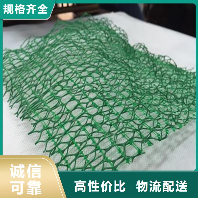 《中齐》:三沙市三维植草护坡网垫-三维护坡网垫质检合格出厂-
