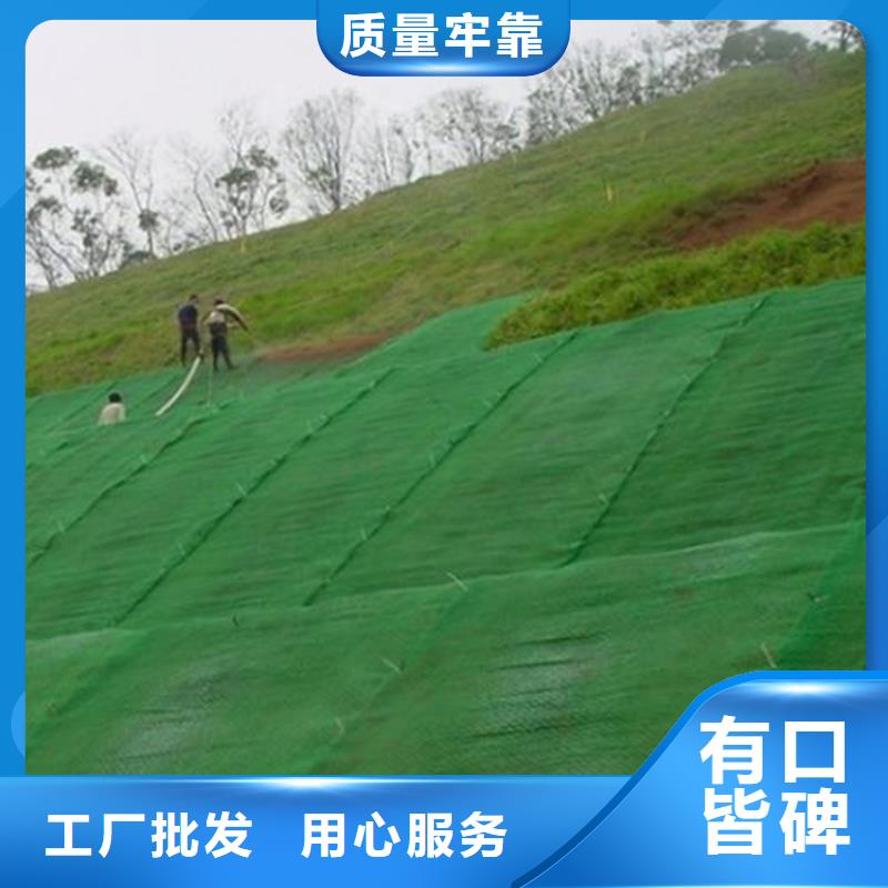 三维植草护坡网垫-土工网垫