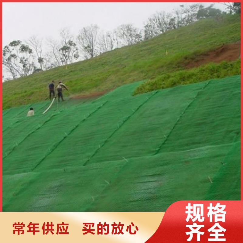 三维植草护坡网垫-三维植被网垫性能结构