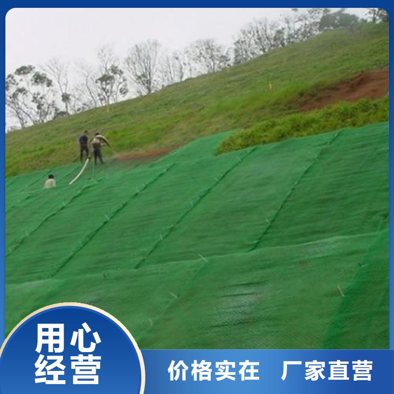 <中齐>三维植被网膨润土防水毯追求细节品质