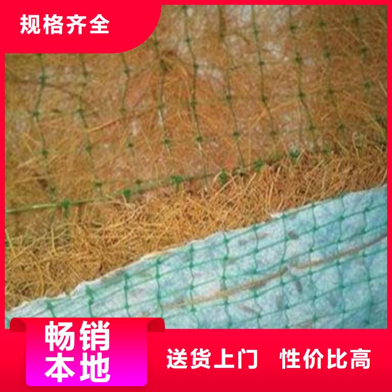 环保植生毯麻椰固土毯