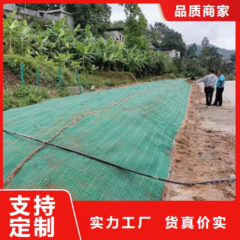 椰纤维毯-公路植生毯