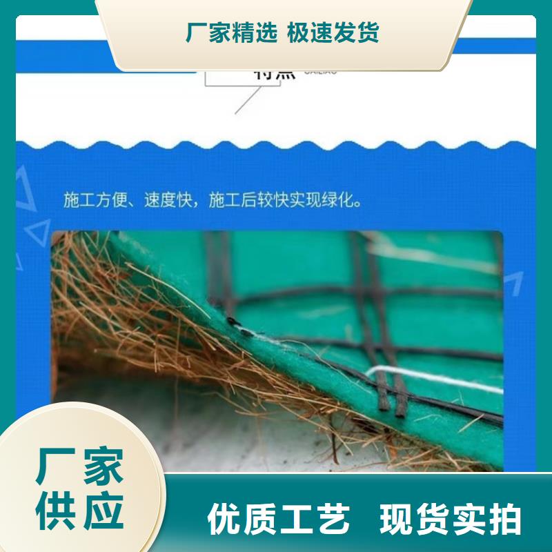 生态环保草毯施工大图